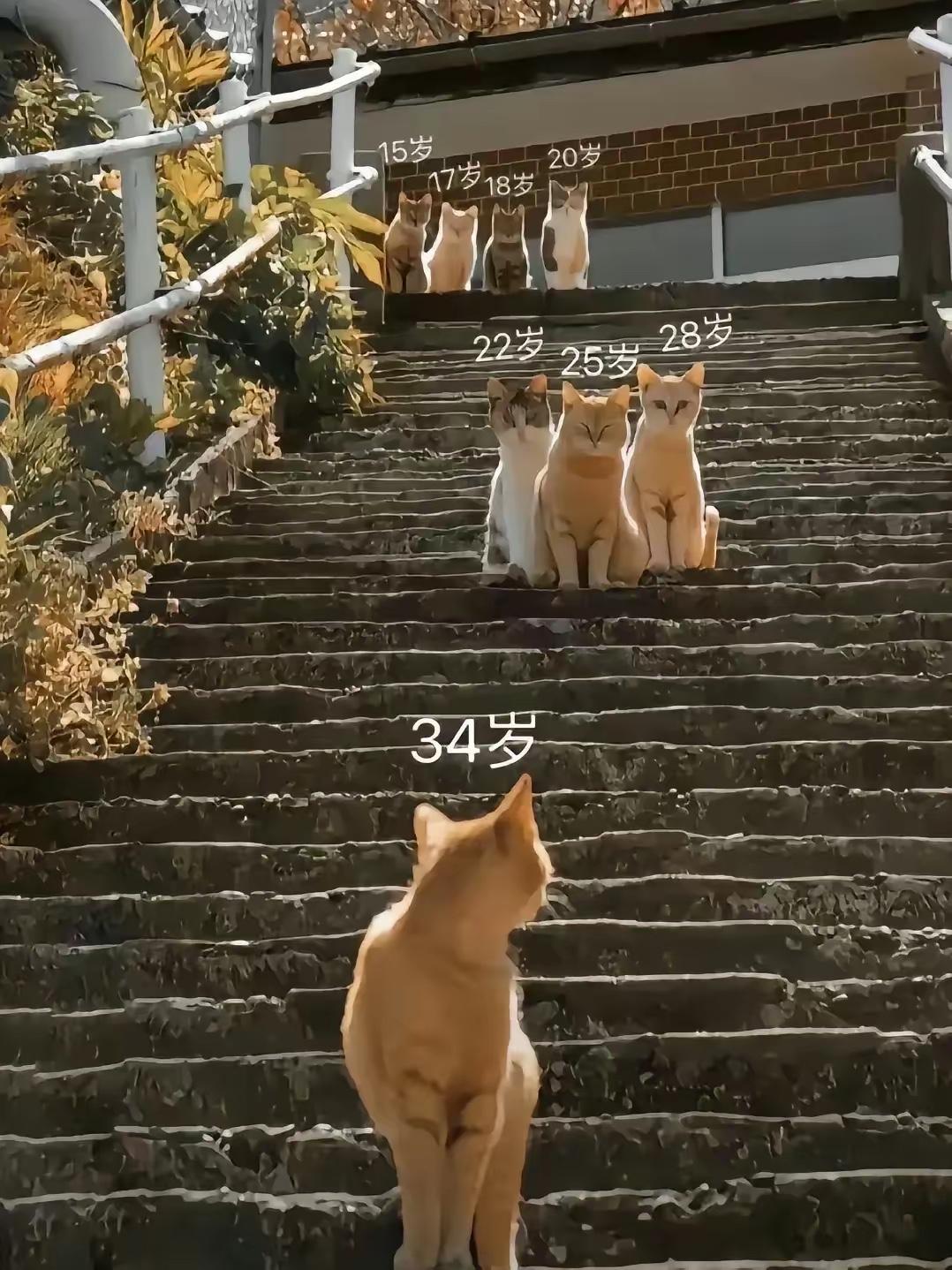 一生很短，短的来不及享用美好年华，就已经身处迟暮。