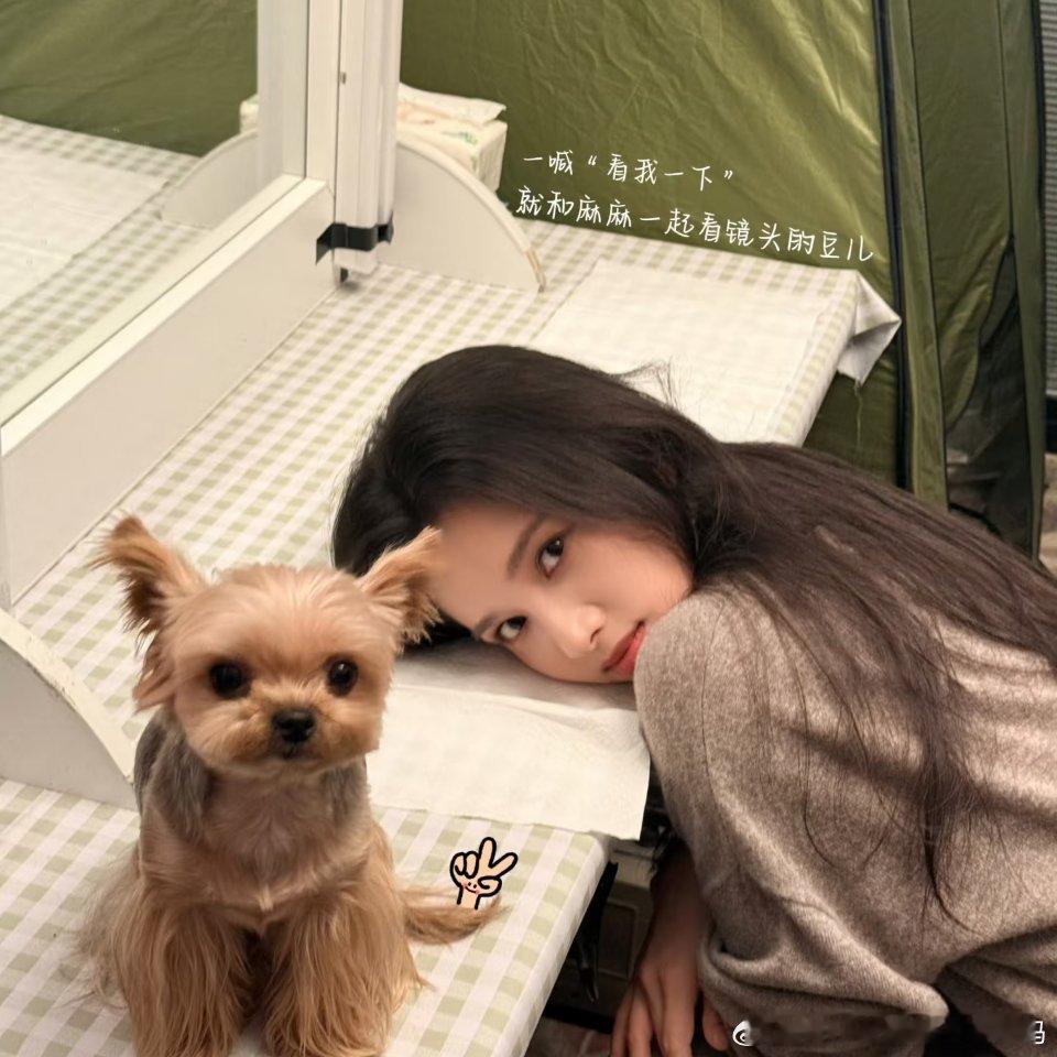 #张婧仪#欢迎收看女明星和她的小狗。豆仔好可爱！！！​