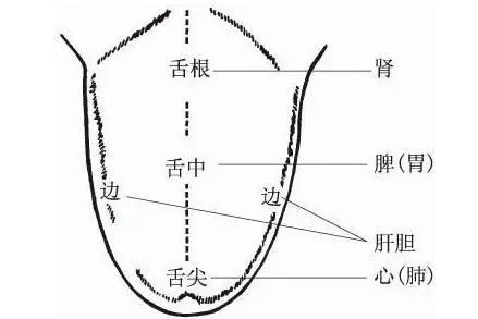 8种舌头现象是疾病信号, 中医教你如何从舌头看出疾病