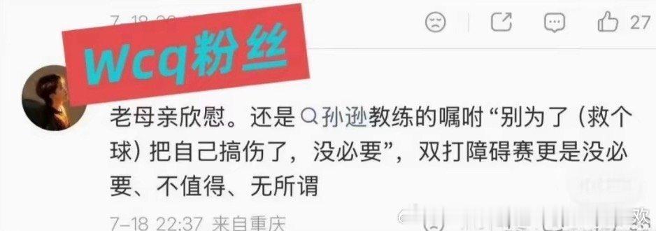  打混双-不合理兼项-受伤-退单打养伤-复出-不打混双-拿冠军打混双...