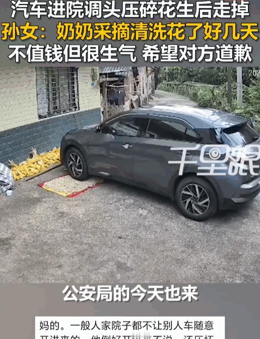 丢人丢到家了！广西桂林，一辆不知从哪来的私家车，大摇大摆开进了女子家的院坝里掉头
