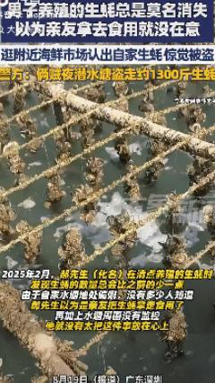 好好的生蚝居然会消失？广东深圳，一名男子养殖的生蚝总是会莫名其妙的消失，一开始他
