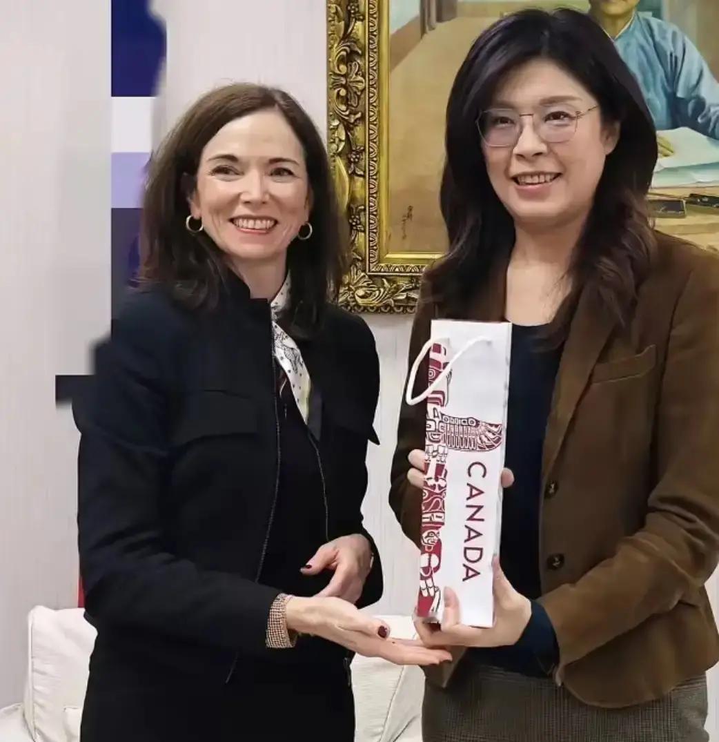 坐不住了！加拿大表态！近日，台北传出消息：加拿大驻台代表在拜会国民党籍民意