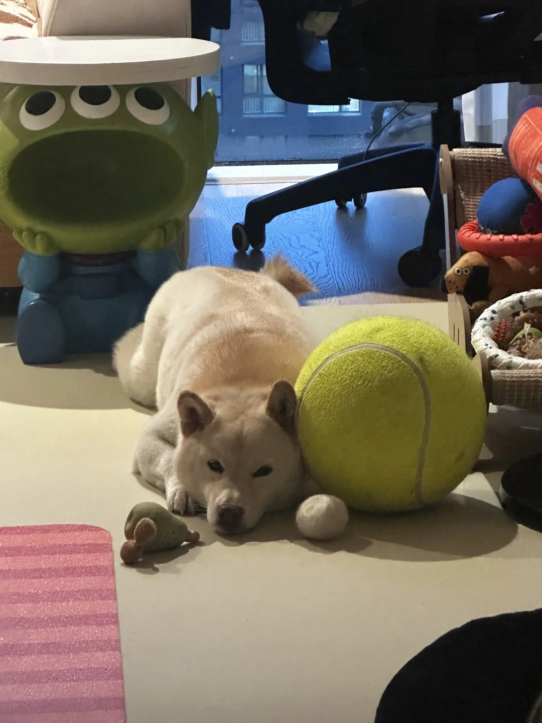 当我买玩具忘了看尺寸……