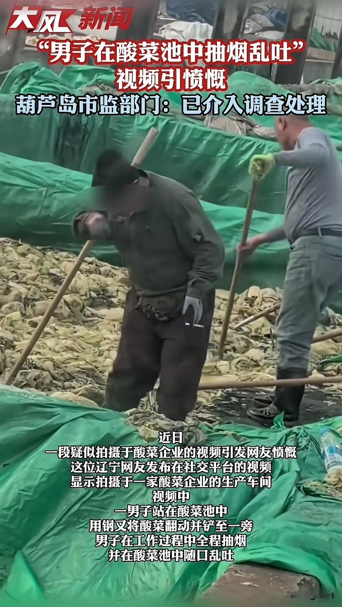 一段视频在社交平台炸了锅。辽宁网友拍的画面里，葫芦岛一家酸菜厂的男子站在腌菜池里