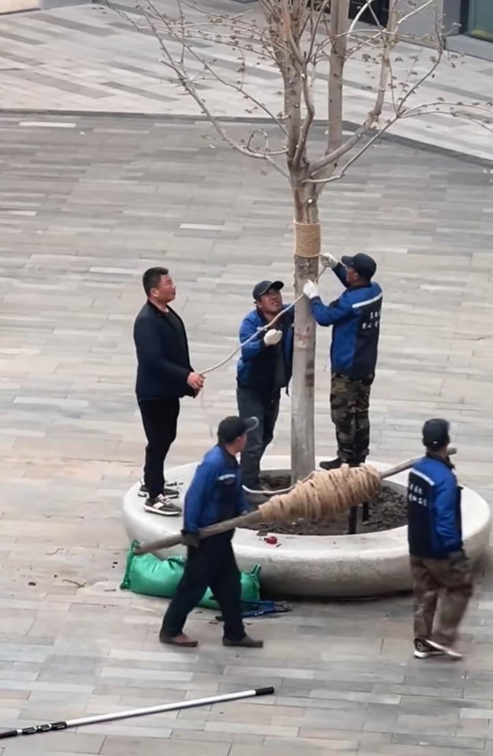 听过一个外国笑话，说波兰人按装灯泡，一个人站在桌子上扶灯泡，下边四个人抬桌子转。