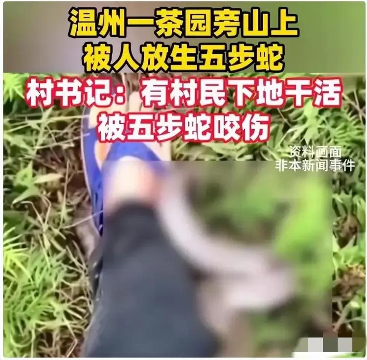 放生毒蛇应该按投毒罪判刑。近日，温州被爆出有外来人在茶山放毒蛇，而且还放生了两