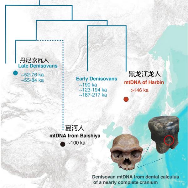 中国又发现了一处丹尼索瓦人遗址。2025年6月18日，中国科学院古脊椎