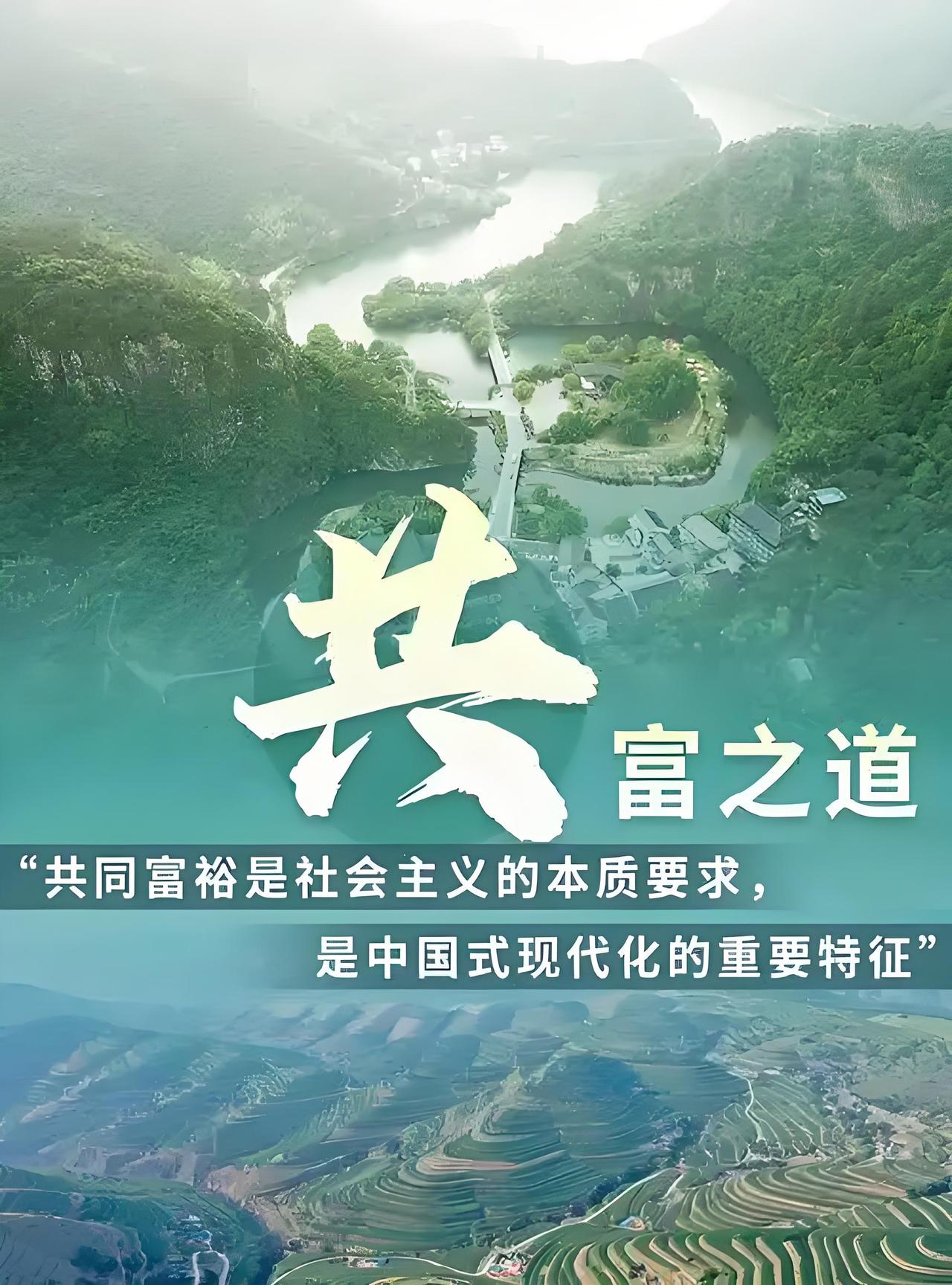 实践是检验真理的唯一标准——共富之道！实践证明：集体经济与私有经济各有优劣势，