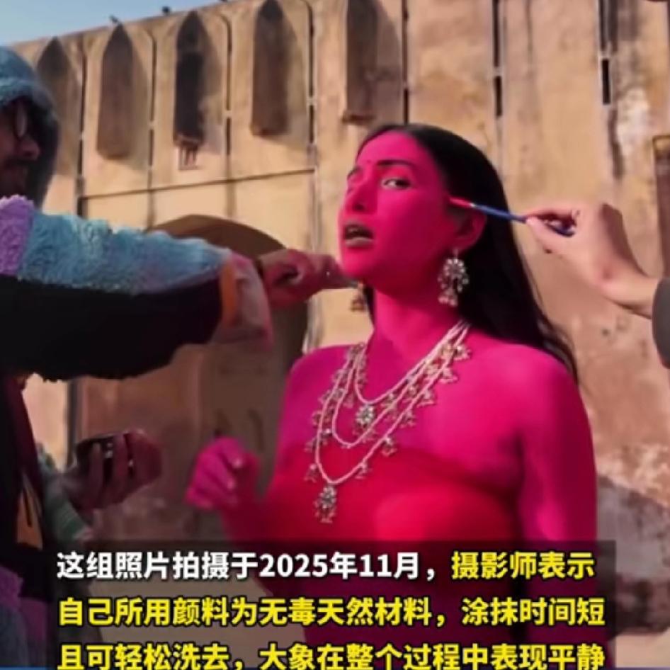 震惊！为了出片，俄罗斯女子竟把印度一头65岁大象全身涂粉，大象三个月后死亡之前