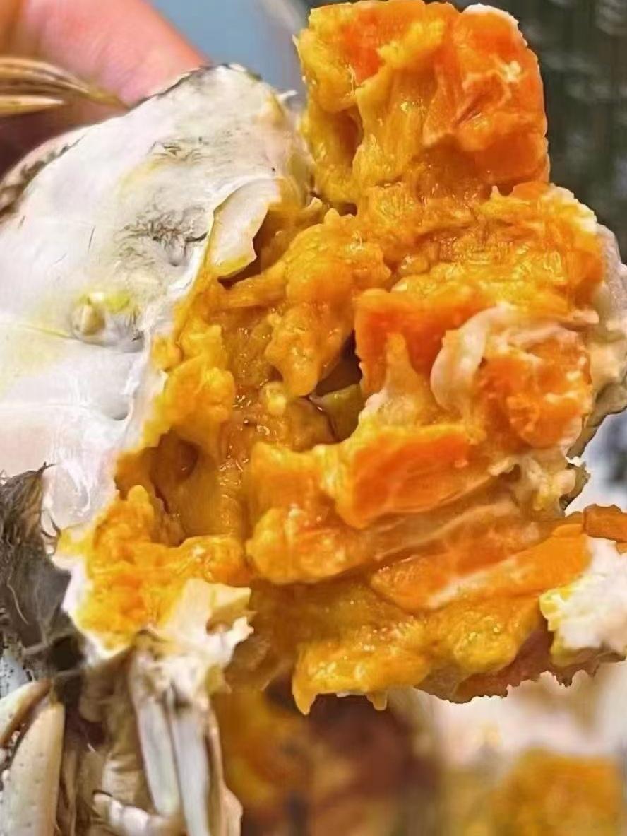 大闸蟹价格腰斩真能当饭吃了俩孩子都特别喜欢吃螃蟹🦀每年都是从六月黄一直吃到大闸