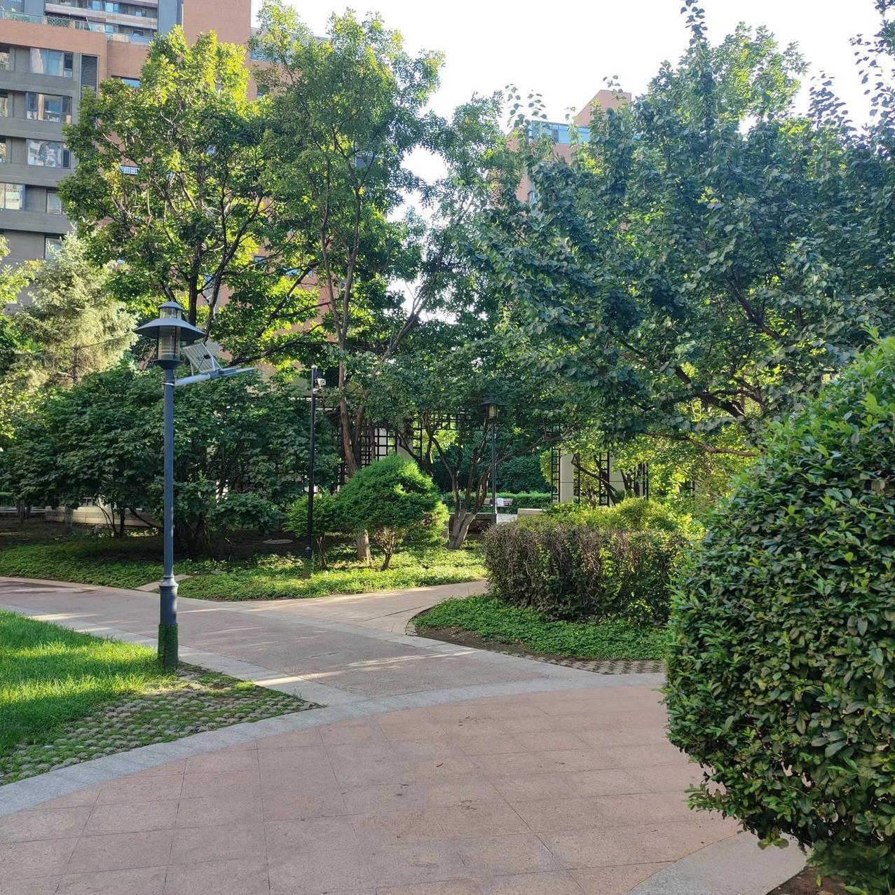 我姐是在铁路分局机关工作的。2005年分局撤销时有个政策，女性48周岁必须内退。