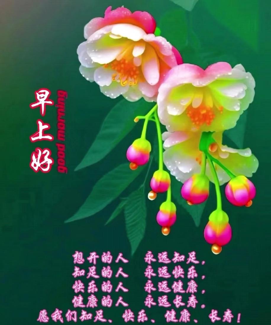 [玫瑰]早上好[玫瑰]想开的人永远知足，知足的人永远快乐，快乐的人永