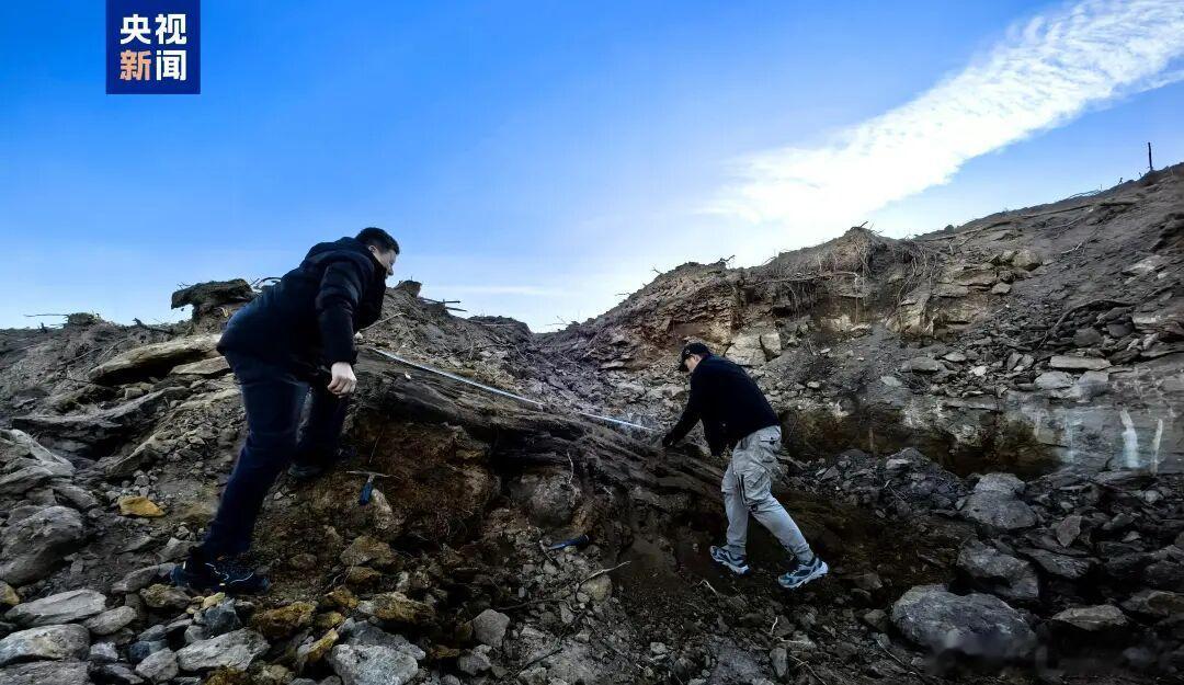 山西一工地发现2.9亿年前大型木化石太旧高速路改线工程阳泉市平定县某工地现场发现