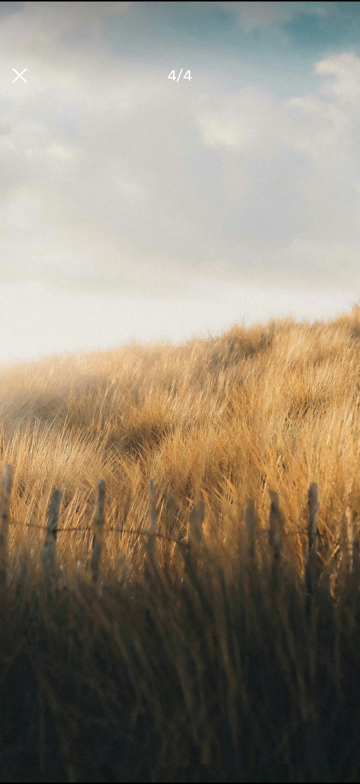 这是今天的景深壁纸