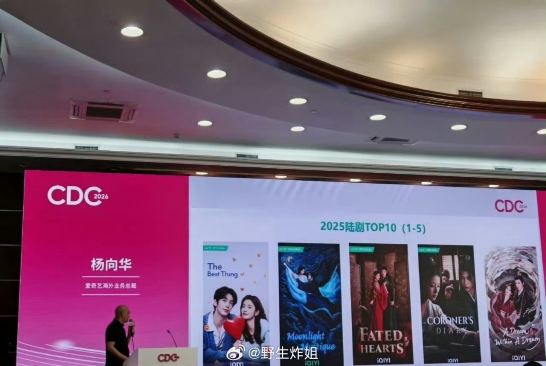 2025年的在🥝平台海外播放量排名在前十的剧集，爱你、白日梵星、一笑随歌、朝雪