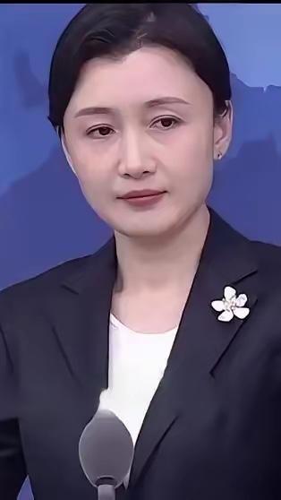 就在刚刚，国台办一句话撕开了民进党当局的遮羞布。别人挨了打会喊疼，台外事部门