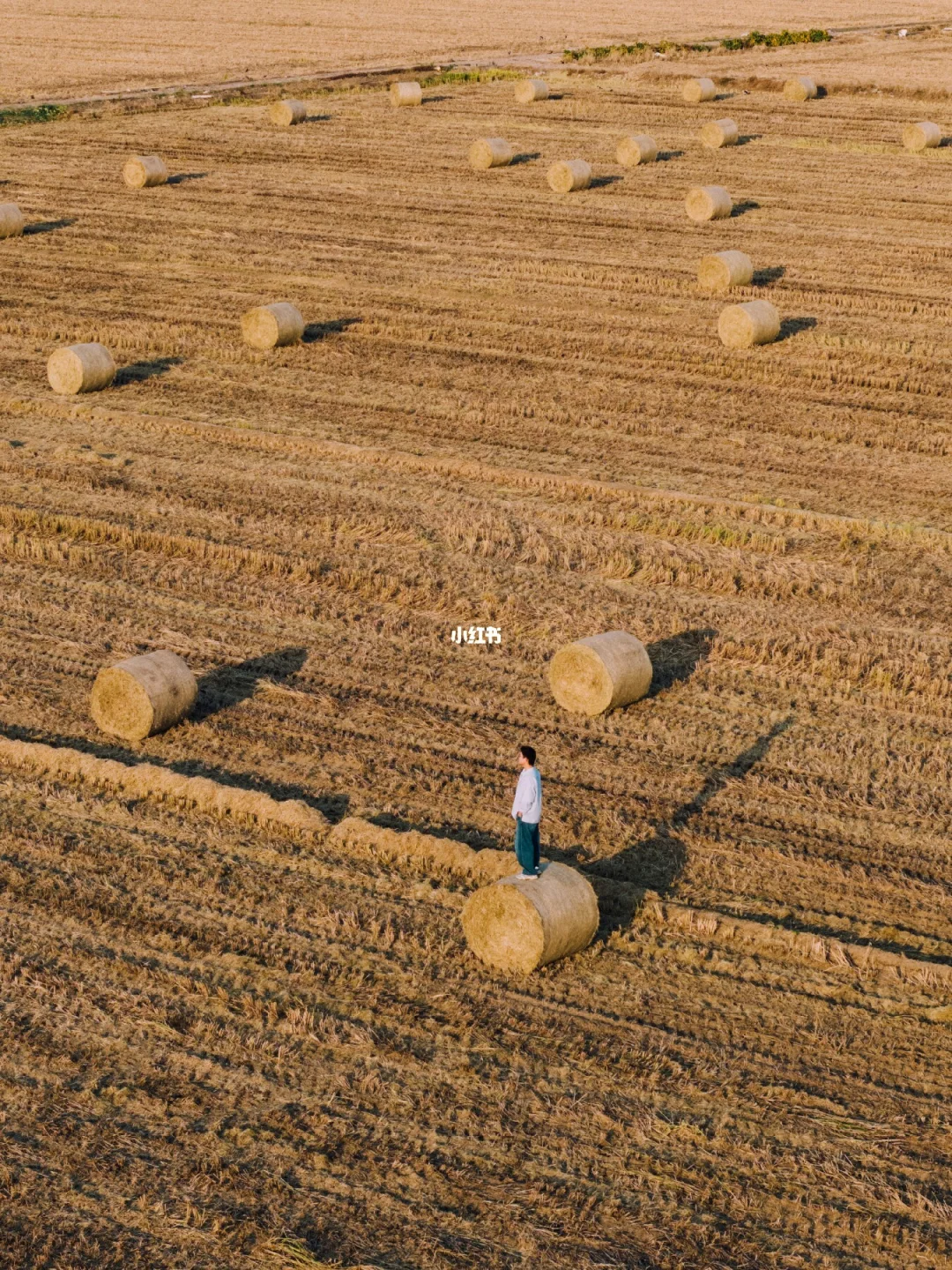 没想到在昆山也能拍到这样的场景！