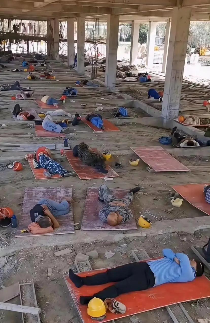 谁的午休睡得更舒服？