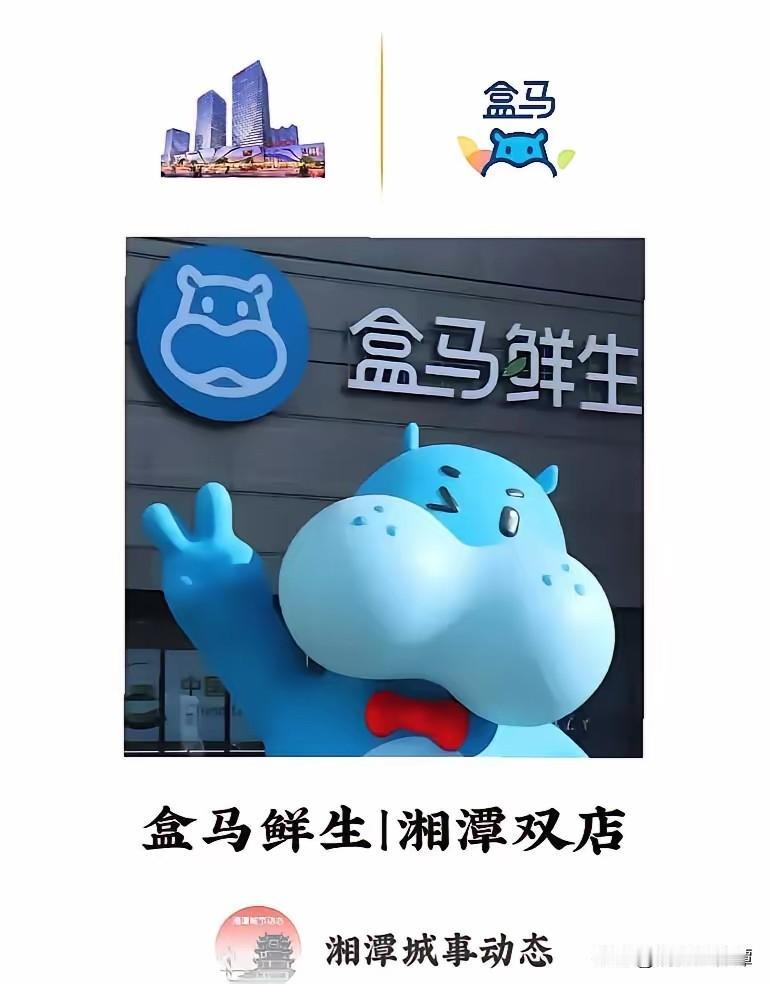 湘潭这波商业真的要炸了，网传盒马一口气要进驻湘潭万达和九华两个点位，盼了快五年的