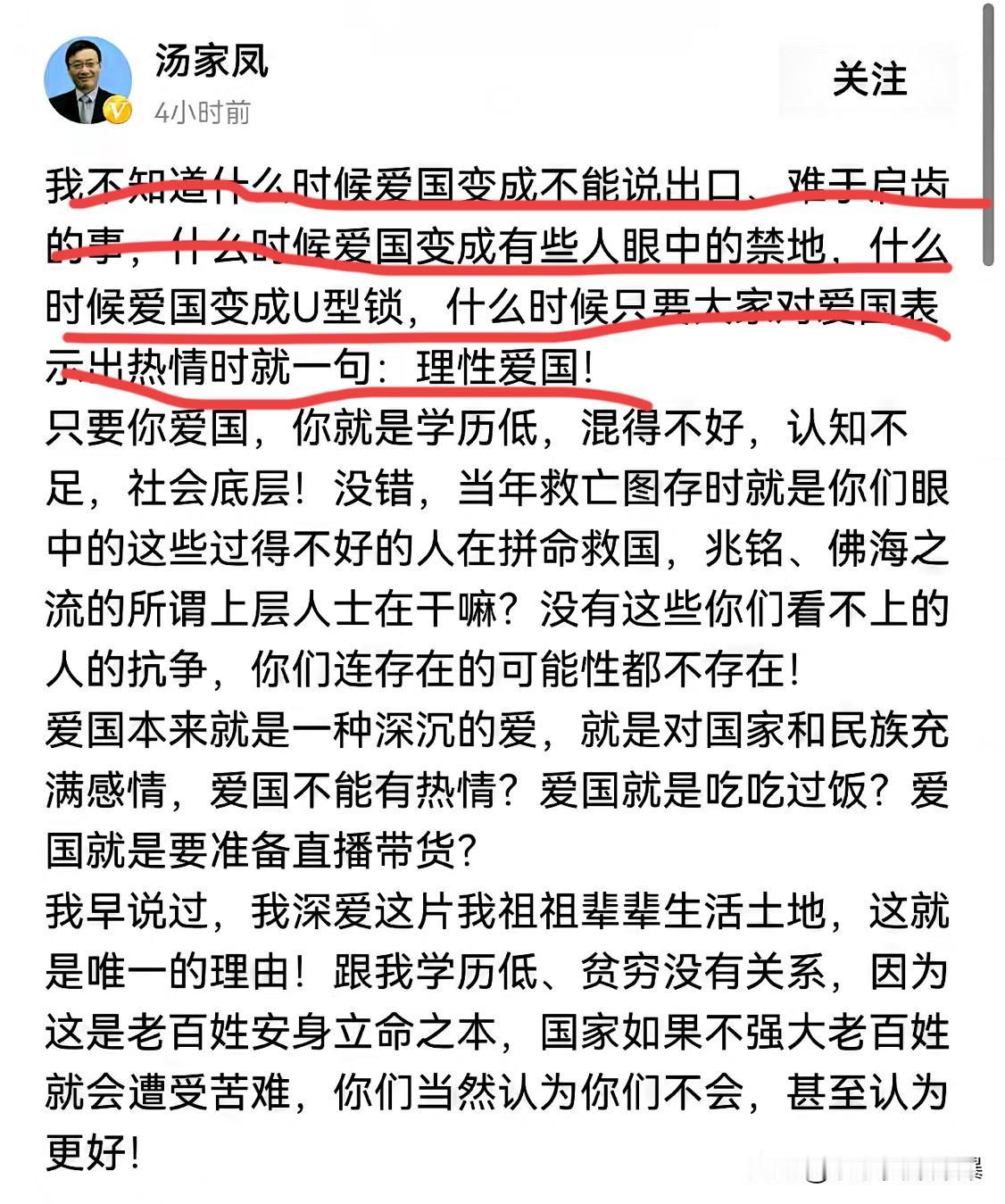 汤家凤一句话撕开网络舆论的遮羞布现在这年头，敢在网上说句爱国居然能被贴上“