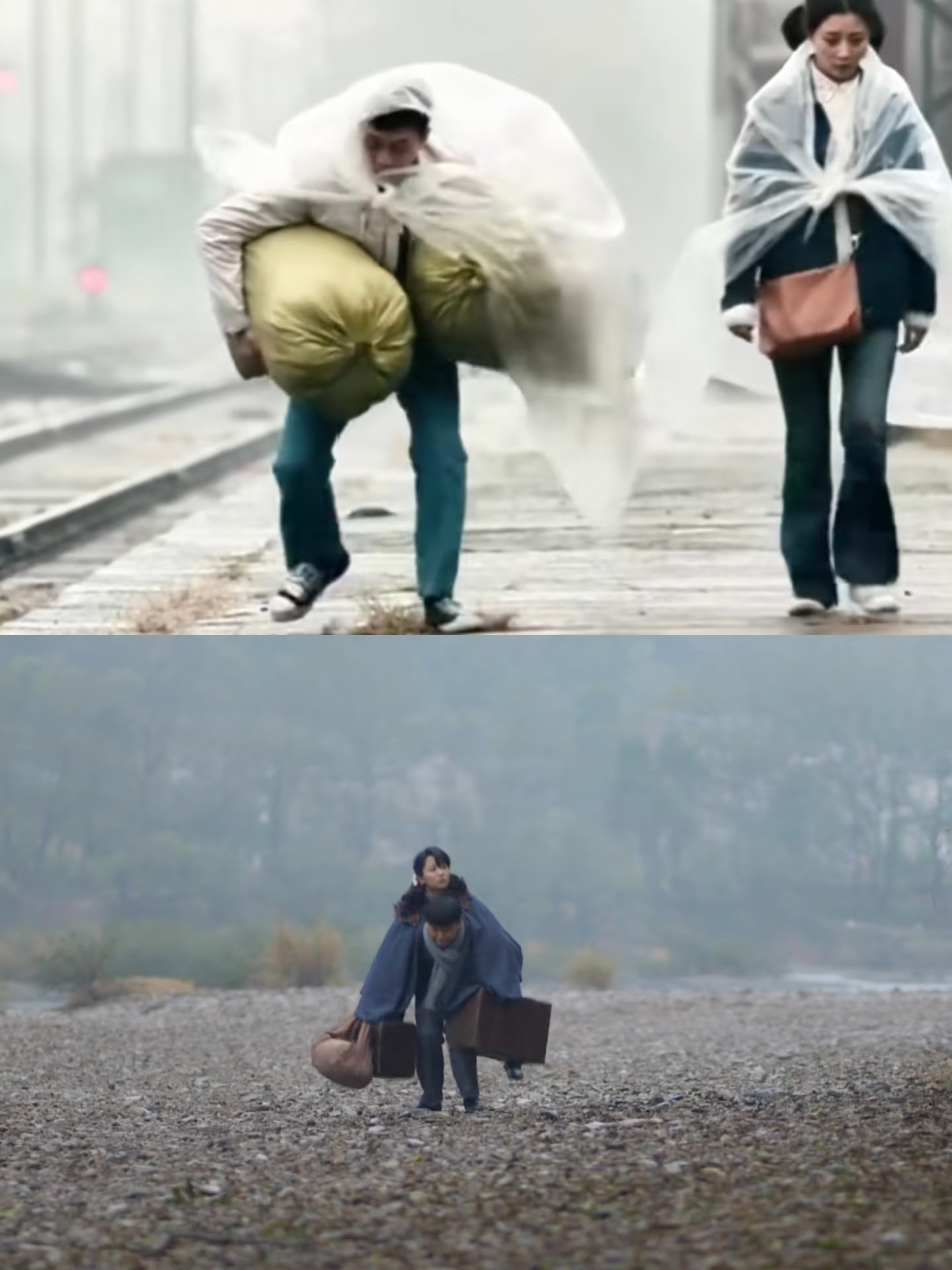 在某书里刷到张译和杨紫的拼图，显得大家都好命苦哈哈哈哈哈