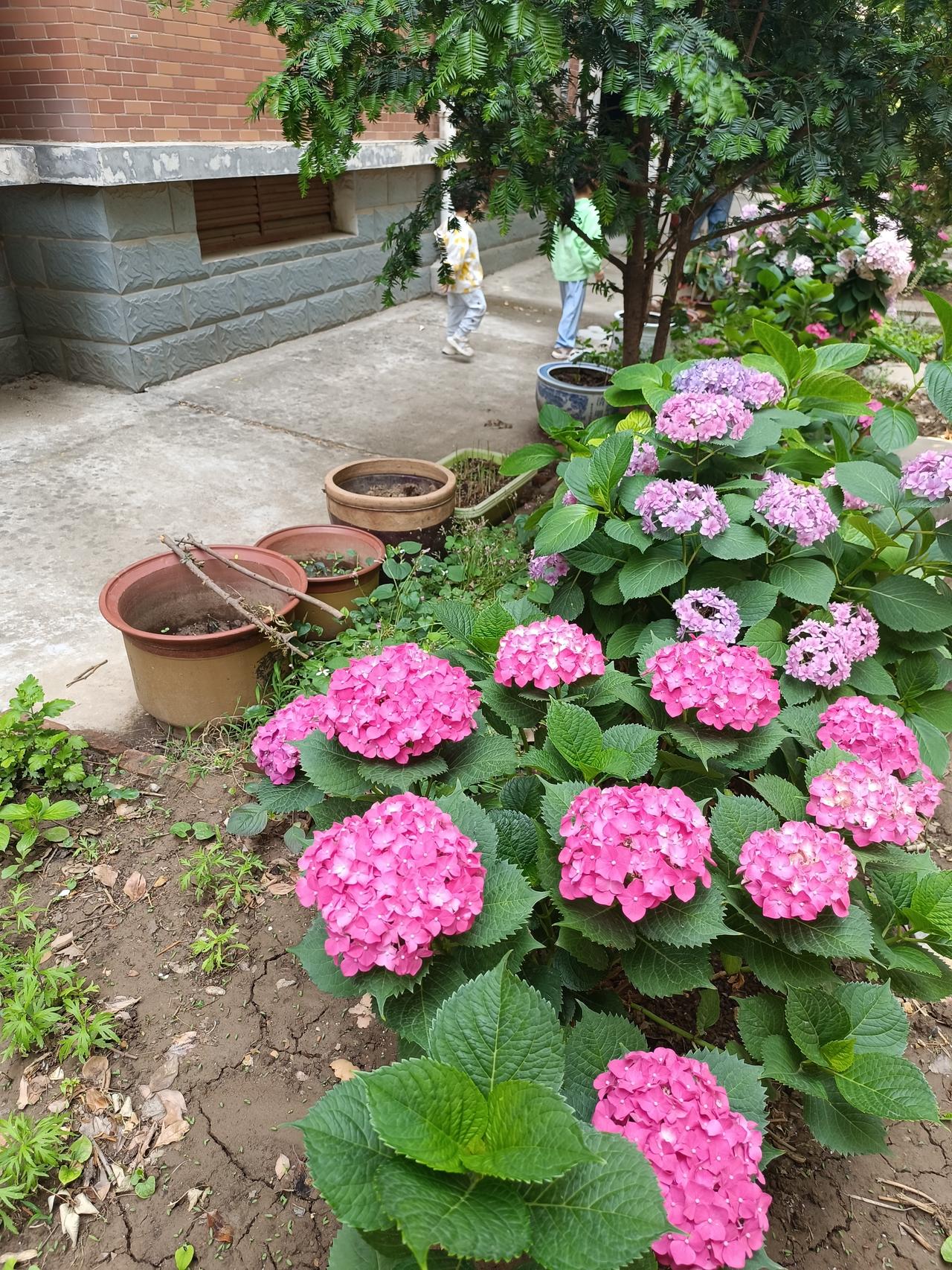 做个小女人才能白头到老大家发现没有，能过到白头到老的夫妻，都是女人能忍，肚量