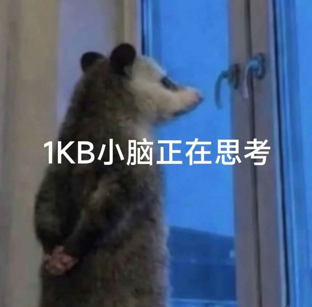 当下最流行的负鼠表情包，可可爱爱，大家自取🥰，水印已关～晚安💤