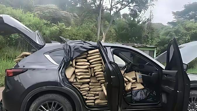 枪毙一次和两百次的区别：一次留有全尸。两百次是尸骨无存…汽车车主胆子太大了！