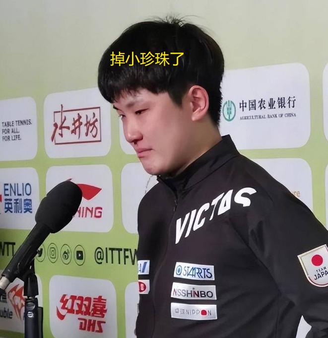 张本智和又被赶出了赛场。北京时间2025年11月7日晚，WTT法兰克福冠军赛男