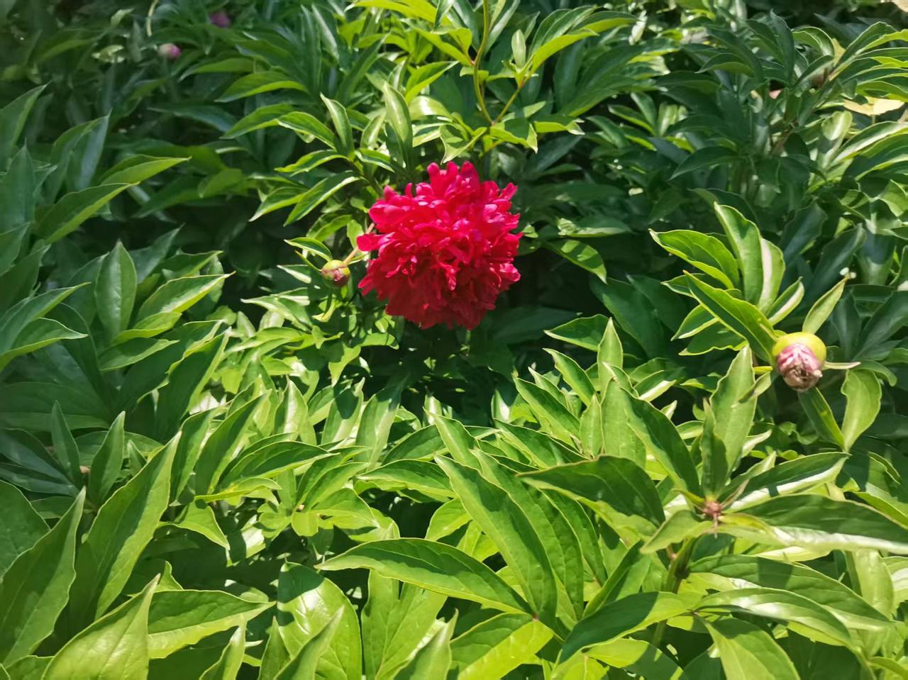 闺蜜逛商场看裤子，忽然说：“我妈不用买外裤了。”上一次说这话是好几年前：“我