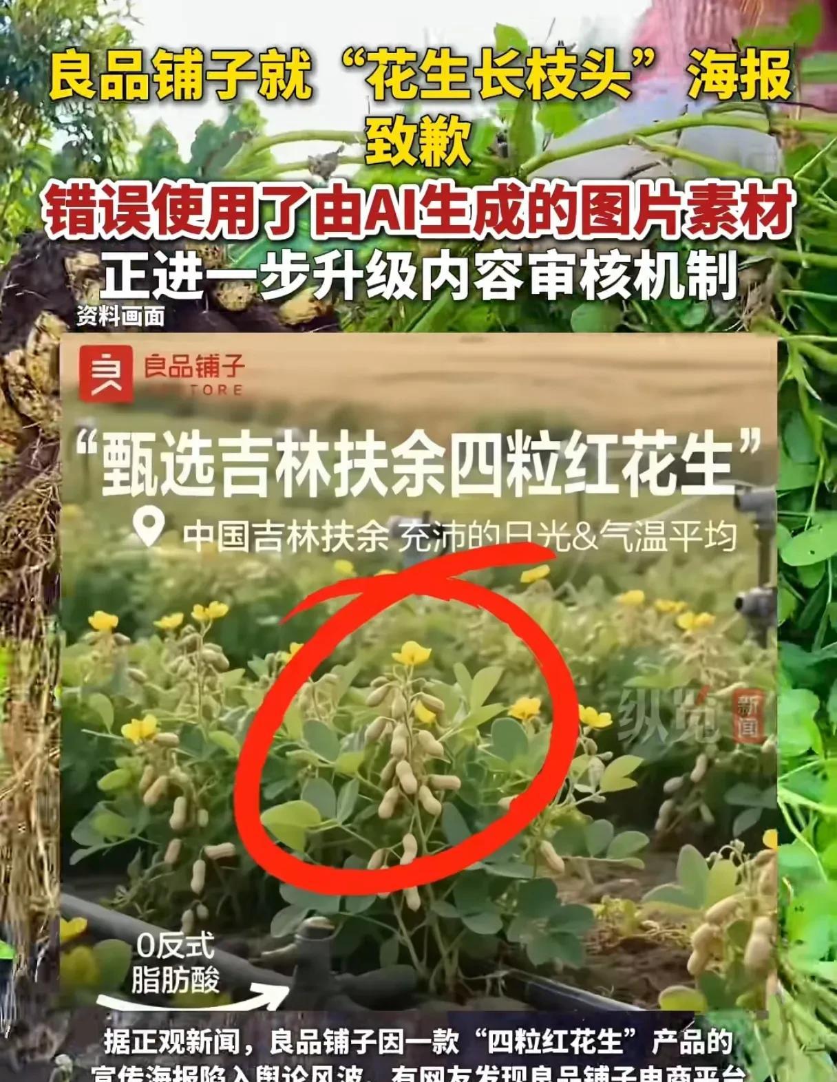 花生都长上枝头了？不知道的还以为良品铺子来了一次农业技术改革呢！
