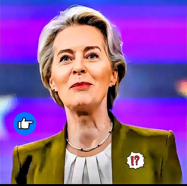 刷到个新闻，差点给我笑失常了。欧洲那位大姐，冯德莱恩，对着全世界喊话：我们不