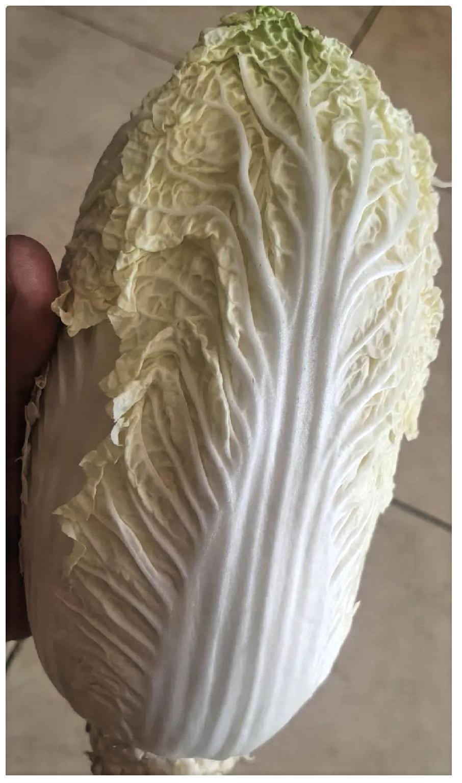 看到了白菜蘸取甲醛的新闻我扔了家里的20天前买的大白菜。本来想包白菜馅饺子