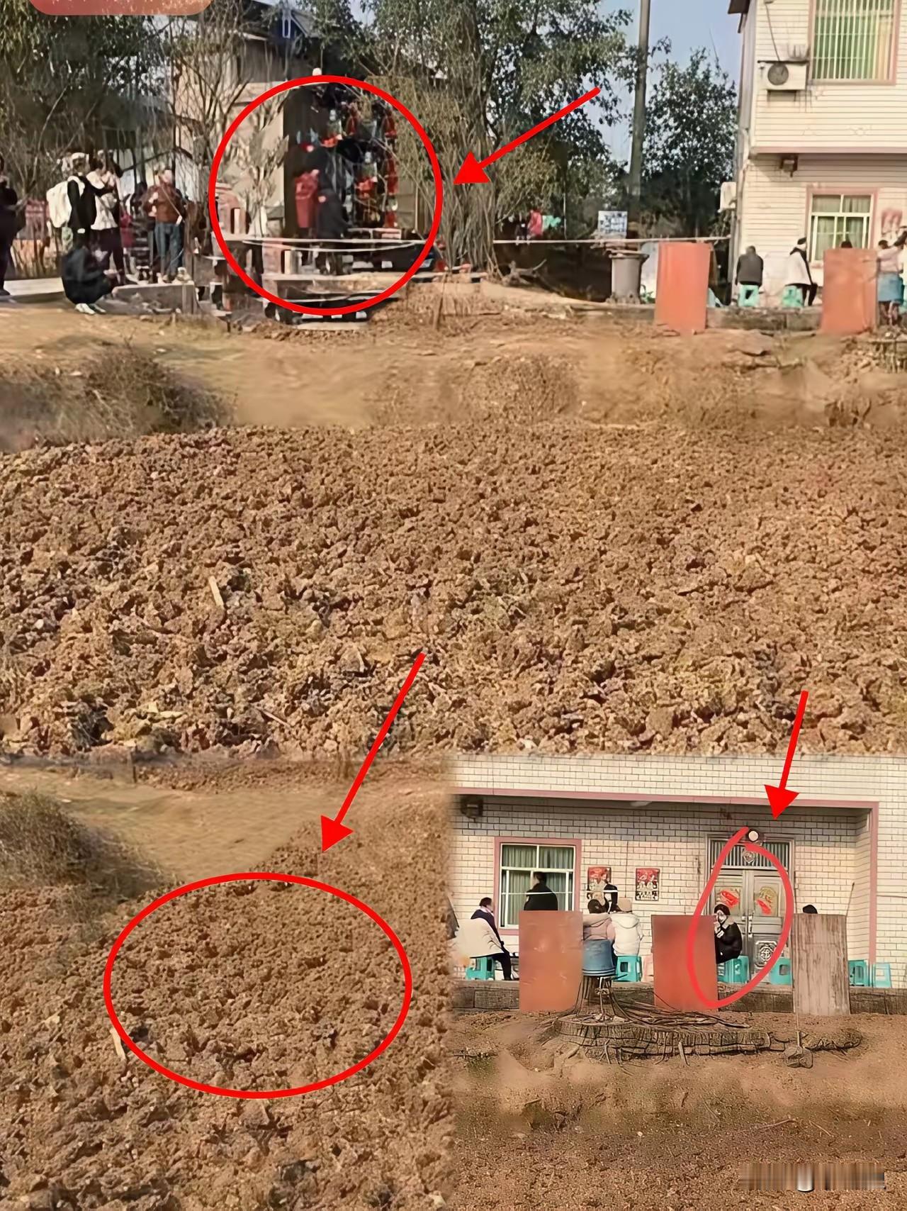 呆呆家不能再搞摁猪活动了。家门彻底翻土，准备种植物。就算有实力的榜一大哥，