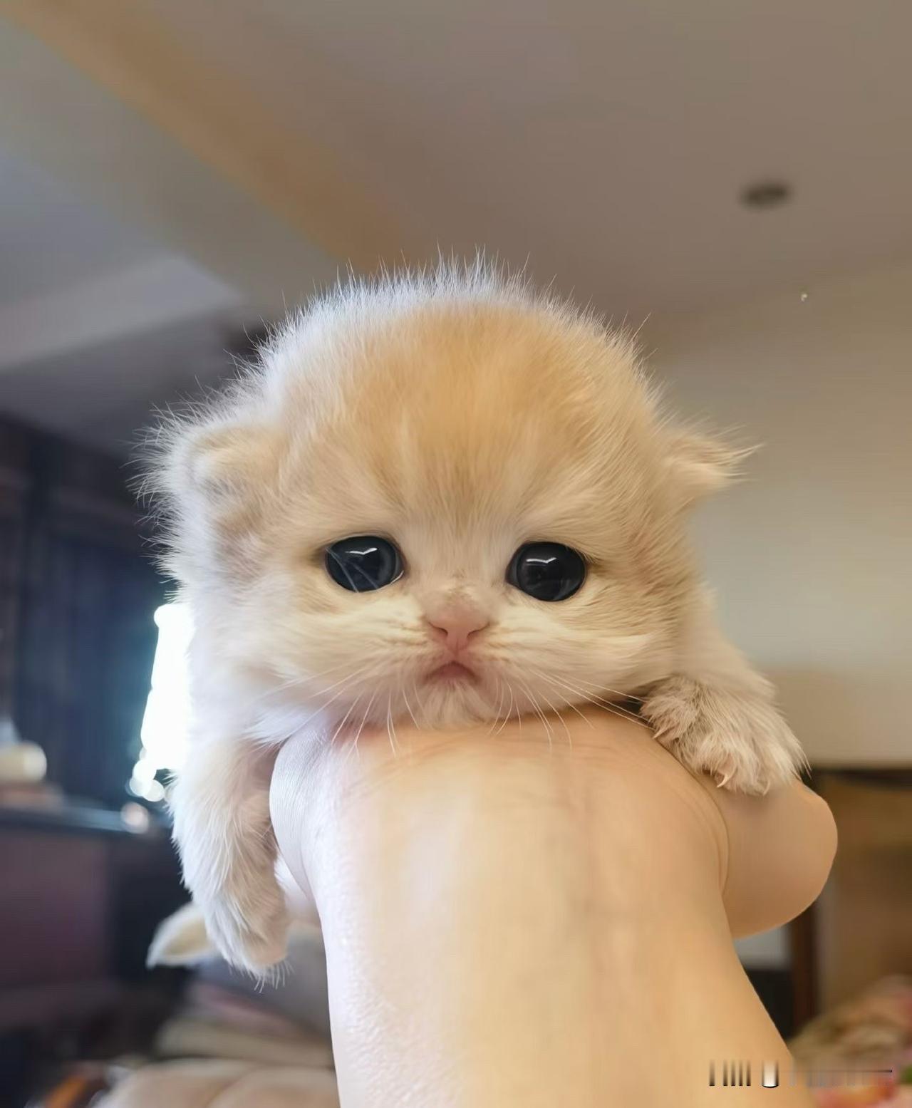 周二武汉地铁客流量回升至396万人次以上[呲牙笑][呲牙笑]爆料身边事周二地