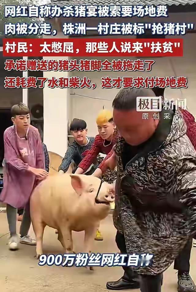 “人心真恶！”湖南株洲，一男子是900万粉丝博主，在村里花3200买了头400斤