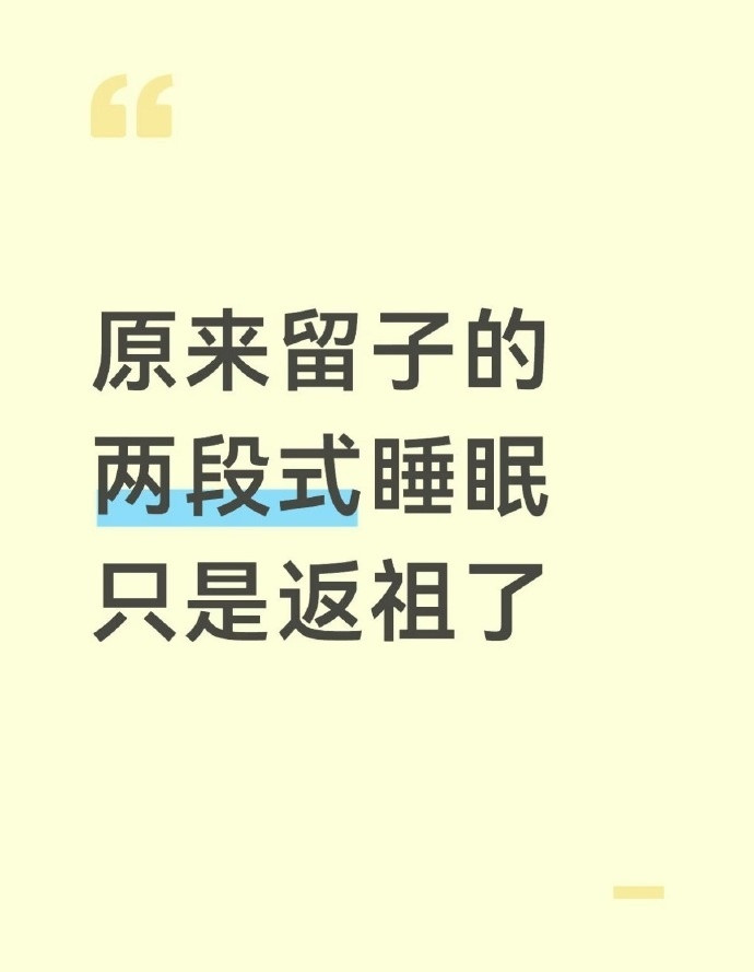 原来留子的两段式睡眠只是返祖了