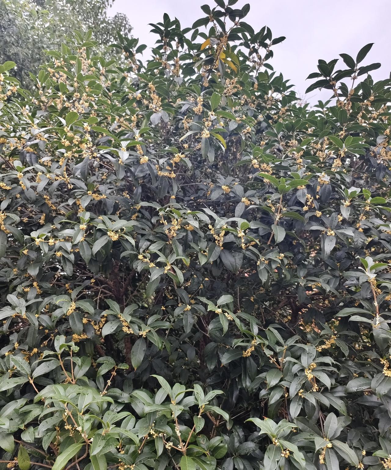 接纳现实，转换视角★放下执念，就是放过自己。修心是一切意念的基础，一个人心在什