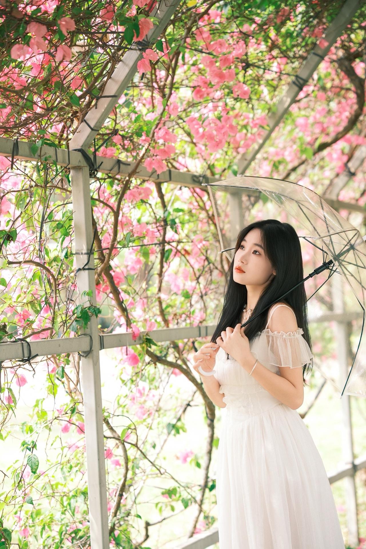 风有约，花不误，年年岁岁不相负深圳约拍互勉约拍人像摄影