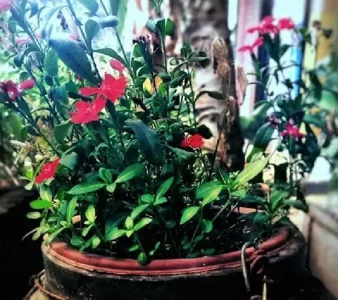 生活中的疲惫和低谷，谁都躲不过。最近，有数据显示，全球抑郁症患者超2.64亿，中