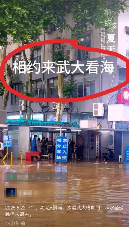 今天武汉的暴雨让华科可以嘲笑武大了！华科武大相距不远，武大今天直接划船看海，华科