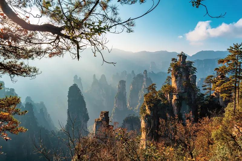 张家界荒野求生体检结果炸锅！5人指标异常，95后姑娘逆袭太意外家人们快看！张