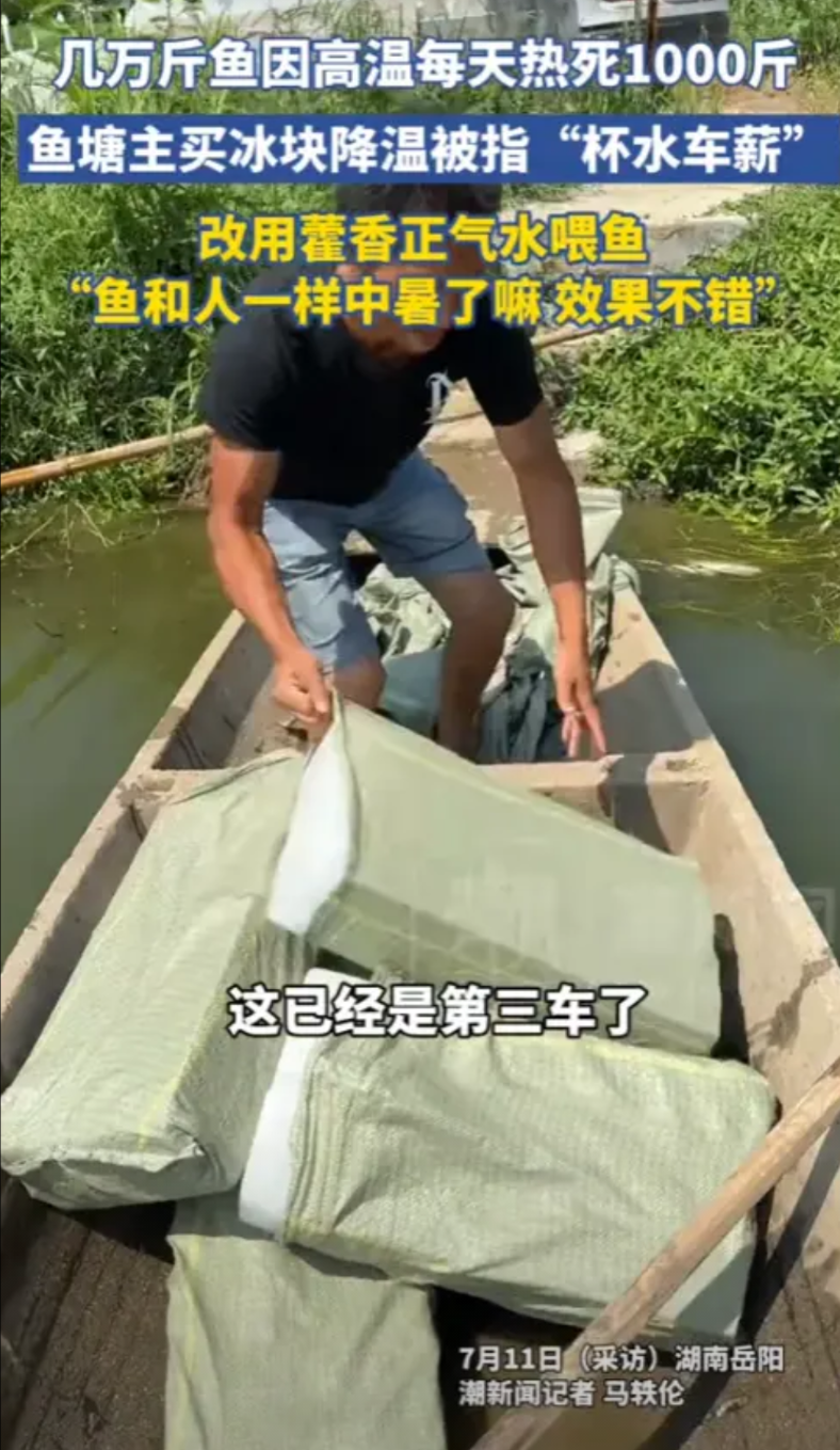 “这下亏大了！”2025年7月，湖南岳阳，一男子的鱼塘每天都要死1000多斤鱼，