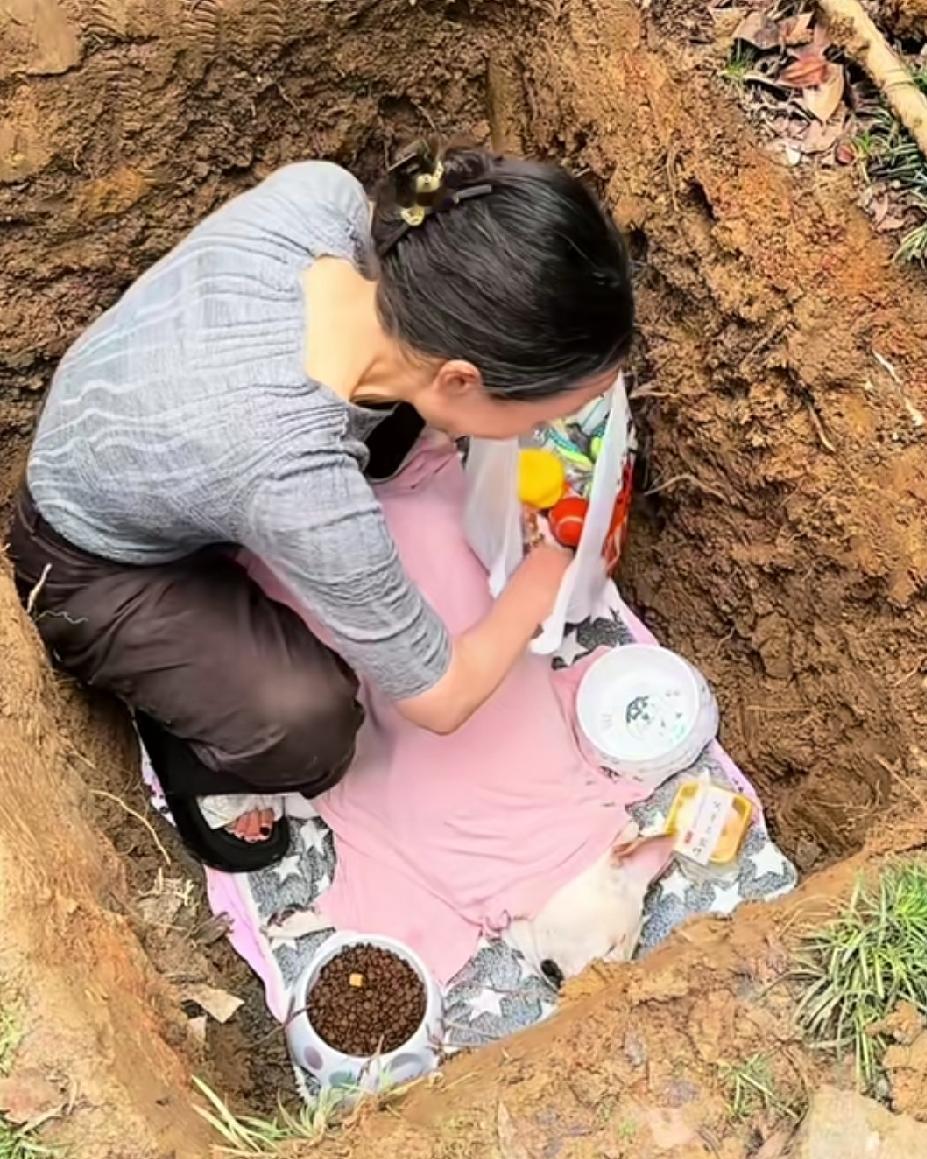 爱宠物狗的人才能体会这种心情吧！人家的小宠物狗去世了，主人很伤心举行了一个下葬仪