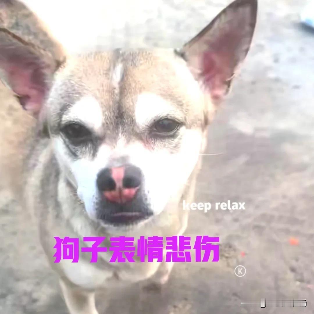 女子的大伯娘凌晨去世，远在外地工作的她，收到消息的第一时间，便急匆匆赶了回去。车