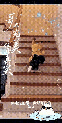 恭喜主人遇到“灵猫“了。小婴儿还不会走路呢，大头朝下滑下楼梯，猫咪瞧见了，赶紧