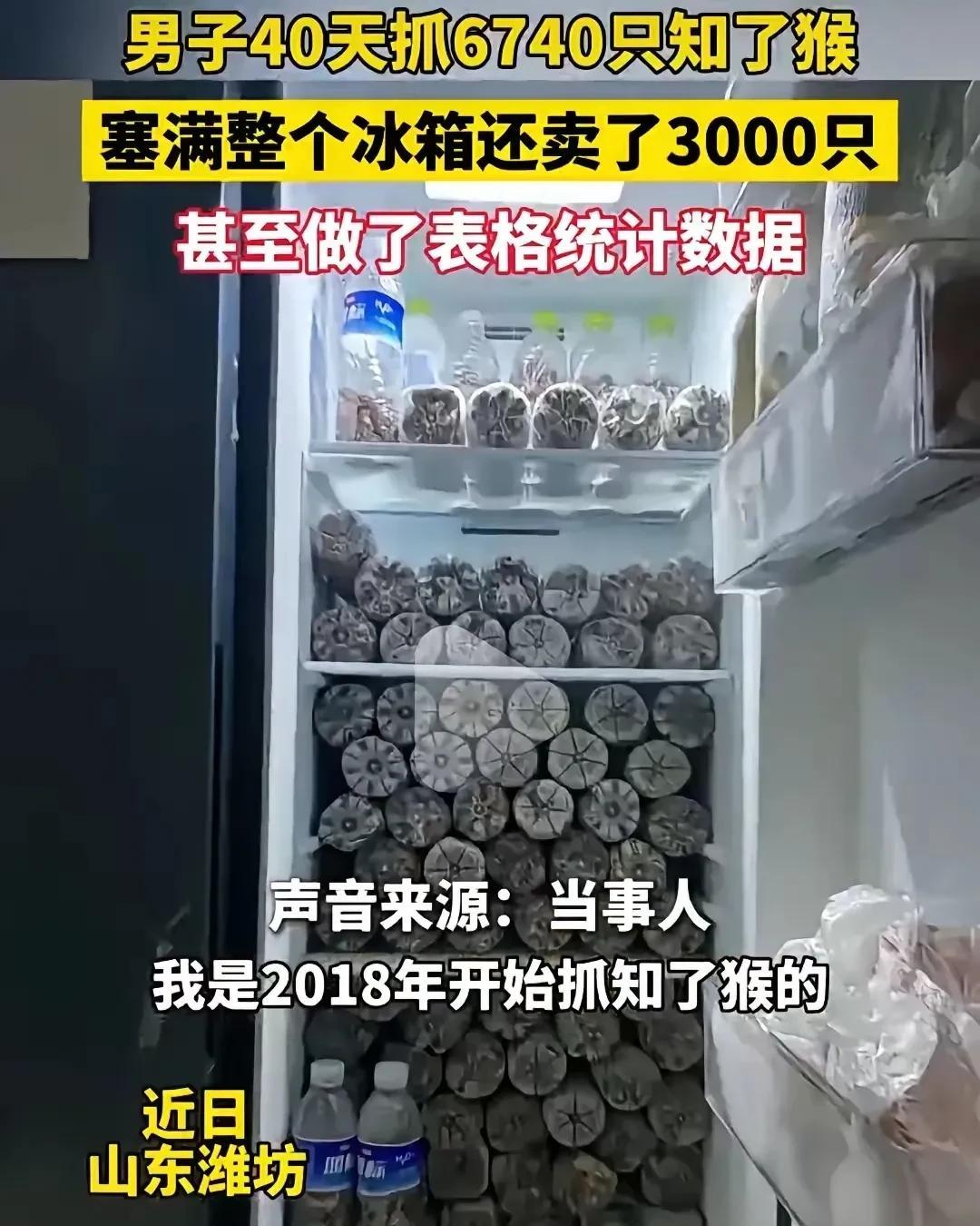 这样的狠人，简直是知了猴的终结者！多少知了猴听到他的大名，估计都在瑟瑟发抖[尬笑