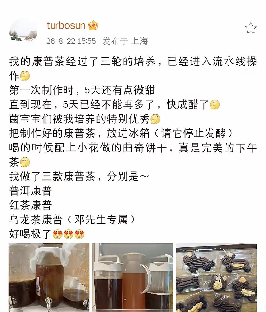 我是真没想到，孙俪能把日子过成这个样子。她在微博上晒自己做康普茶，还专门给邓