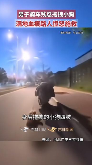 “太残忍了！”江苏南京，一男子因搬家“没法养”，竟将小狗拴在电动车后一路拖行，地